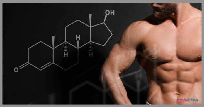 testosterone therapy