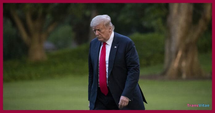 transgender trump lose maine